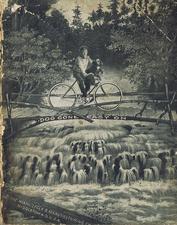 bicycle trusted since 1885