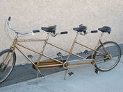 1955 schwinn triplet